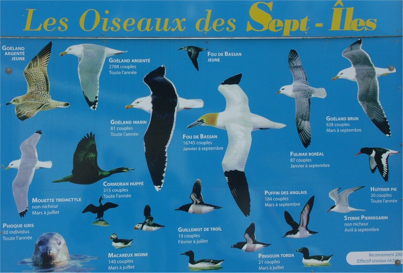 7iles1.JPG (107712 octets)