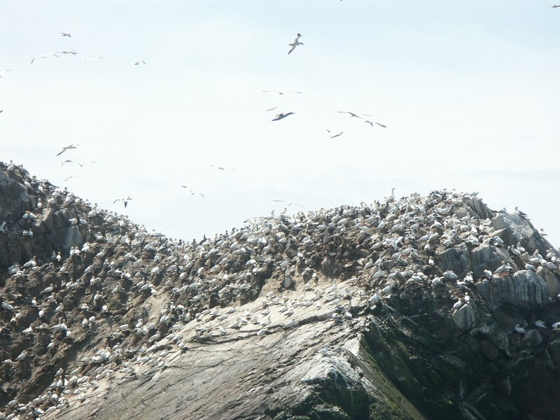 7iles55.JPG (123364 octets)
