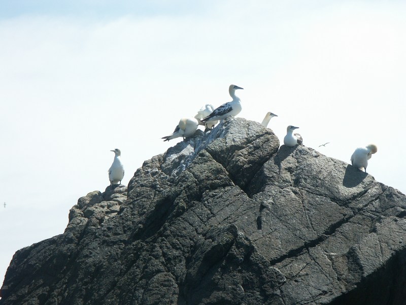 7iles63.JPG (99699 octets)