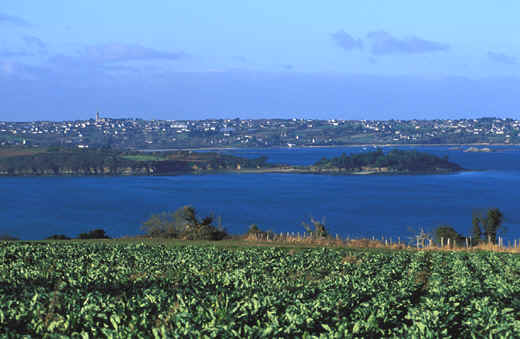 PteGuilbenansePaimpol.jpg (104526 octets)