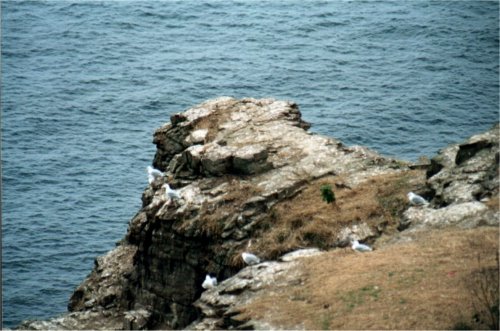 capfrehel4.jpg (49957 octets)