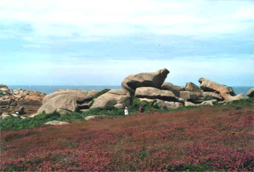 granitrose33.jpg (36353 octets)