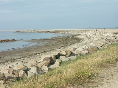 mini-talbert _ 05.JPG (35325 octets)