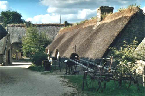 poulfetan3.jpg (50311 octets)