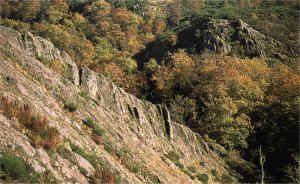 valsansretour.jpg (26298 octets)